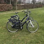 Knus In De Bossen Met Fietsen * אפ