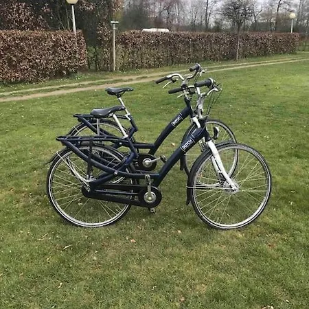 Knus In De Bossen Met Fietsen * Epe