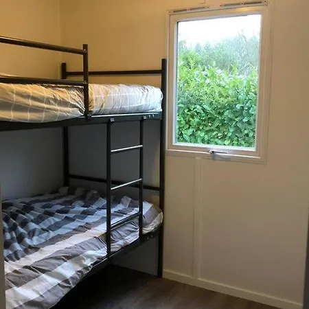 Knus In De Bossen Met Fietsen