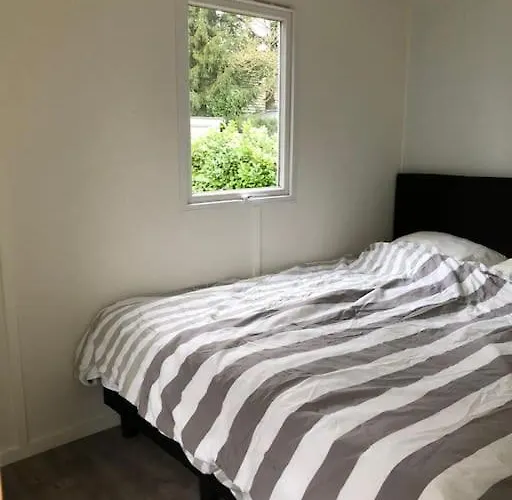 Knus In De Bossen Met Fietsen Chalet Epe