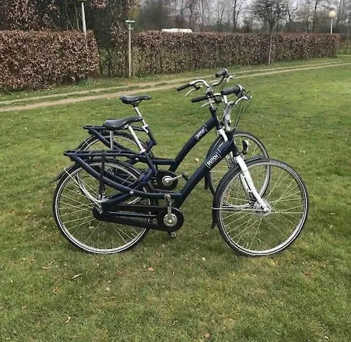 Knus In De Bossen Met Fietsen * Epe