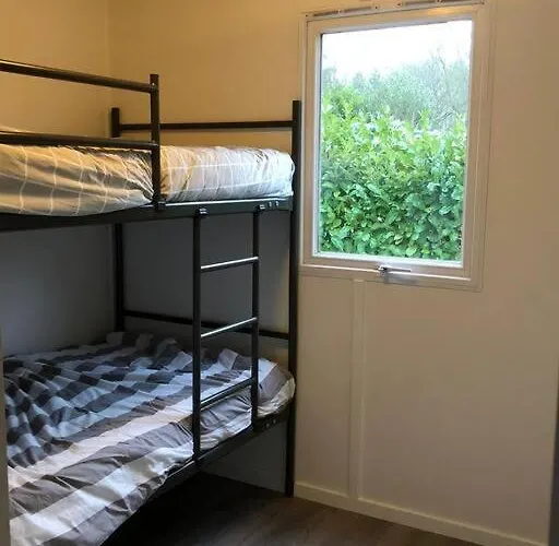 Knus In De Bossen Met Fietsen