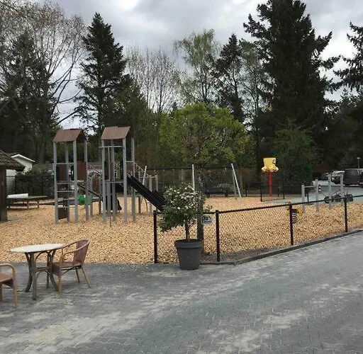 Knus In De Bossen Met Fietsen Chalet