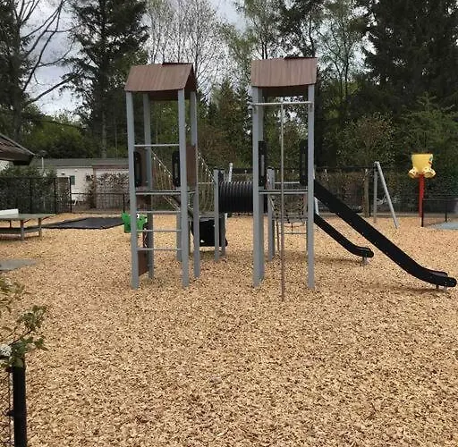 Knus In De Bossen Met Fietsen Epe