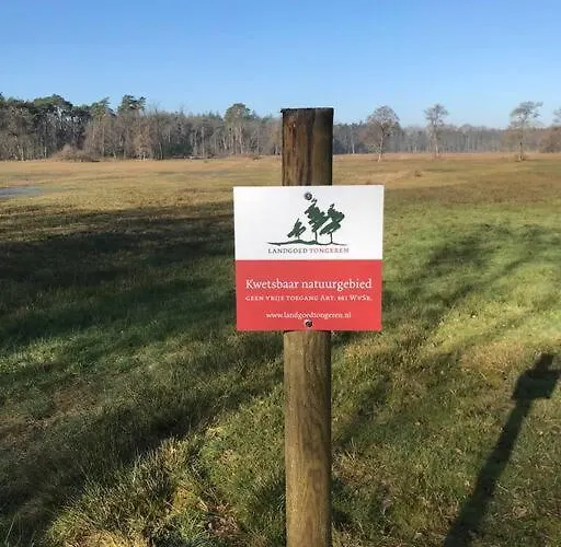 Knus In De Bossen Met Fietsen * Epe