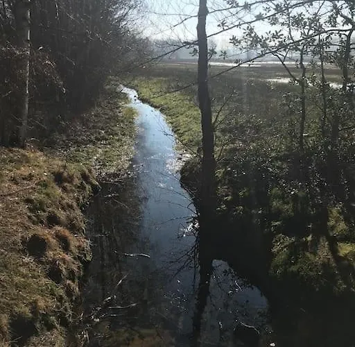 Dağ evi Knus In De Bossen Met Fietsen *