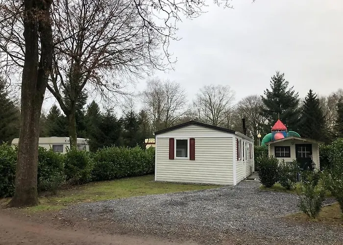 Knus In De Bossen Met Fietsen Dağ evi