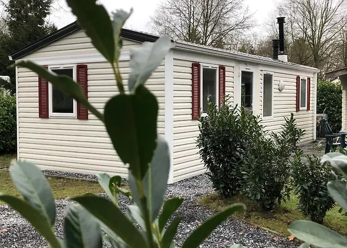 Knus In De Bossen Met Fietsen Chalet *