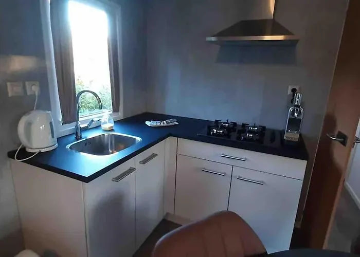 Knus In De Bossen Met Fietsen Epe