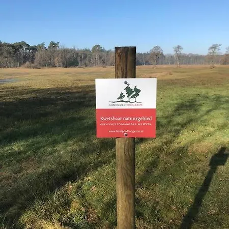 Knus In De Bossen Met Fietsen * Epe